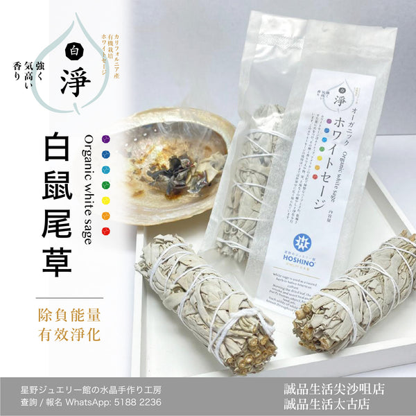 ホワイトセージ 自然乾燥カリフォルニア州産 清め 浄化 厄祓い – 星野